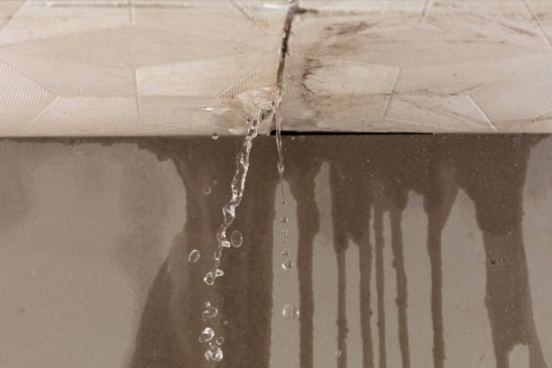 Professional Structural Drying technician working in Bergholz, OH